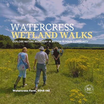 Watercress Wetland Walks