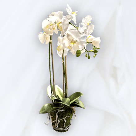 Faux "Soft Touch" White Orchid