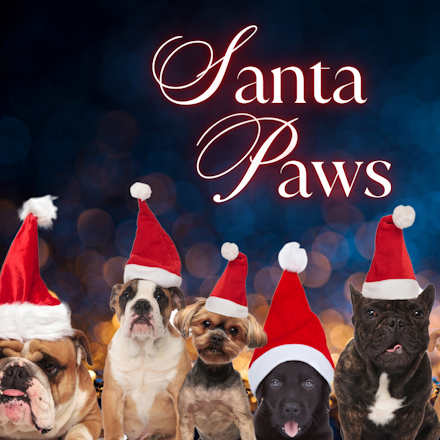 Santa Paws